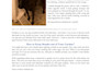 write bulk SEO blog posts with human content and publish on wordpress